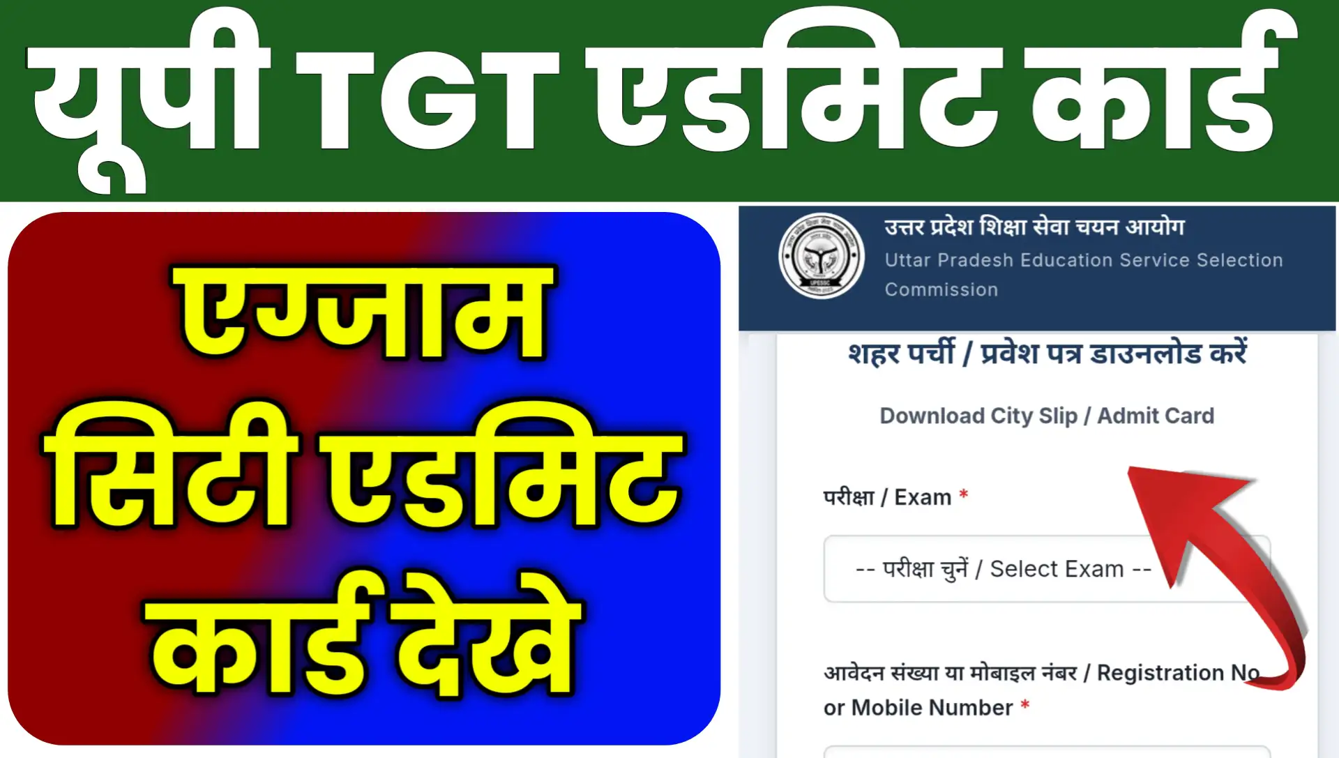UP TGT Admit Card 2026 Exam City Online Download